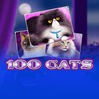 100 Cats game screenshot